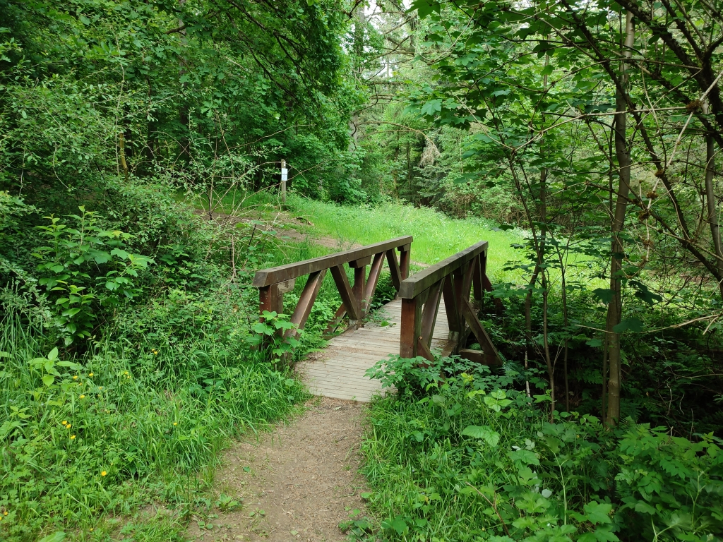 Passerelle du Deister